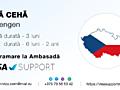 Viză CEHĂ, Programare la Ambasadă
