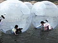 Продам водяные шары зорб (Zorb)