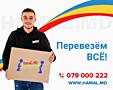 Hamali Chisinau - Mutari oficii si apartamente 