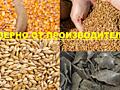 Реализуем зерно пшеницы, ячменя, кукурузы и подсолнечный жмых.
