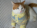 Продаются свитера на кошку или среднюю собаку, ручная работа