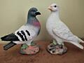 Продам статуэтки голубей