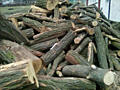 Продам дрова слива