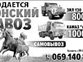 Навоз конский