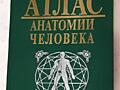Атлас анатомии человека В. П. Воробьев 1998