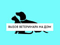 Ветеринарная помощь, операции, ультразвуковая чистка зубов, стрижка