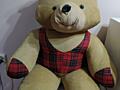 Продаю большого медведя, дракона, собаку.