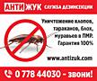 Профессиональное уничтожение постельных клопов и тараканов в Приднестровье