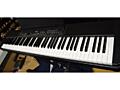 Yamaha p80