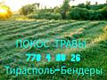 ПОКОС ТРАВЫ (от Бендер до Тирасполя)