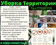 Уборка Дачных Земельных Участков(Клининг Приднестровье)