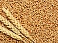 Пшеница 2.8руб.