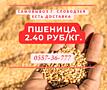 Пшеница 2.40/кг
