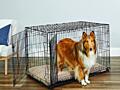 Клетка переносная для собак с 2 дверьми 92х57х63 см