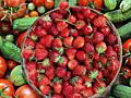 Сбор ягод и овощей. Сезон работы в Германии.