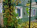 Продам дом из ракушника в пригороде Одессы в селе Алексадровка 110 м .