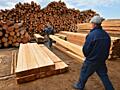 Требуются разнорабочие на деревообработку Латвия