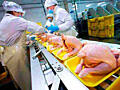 Польша. Завод по переработке куриного мяса ищет сотрудников