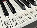 Обучение игре на Фортепиано для детей и взрослых, изучение сольфеджио.