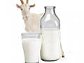 Козье молоко-15руб литр, брынза-75 руб