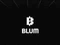 Самописный Софт для BLUM