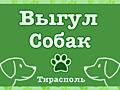 Выгул собак и уход за любыми питомцами