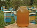 Продам натуральный вкусный мёд из Разнотравье