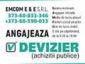 Devizier - specialist în achiziții publice