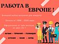 Работа в Европе!