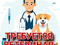 Требуется ветеринар в ветаптеку