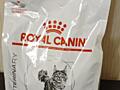 Royal Canin Hepatic Feline сухой лечебный корм для кошек 2 кг.