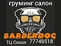 ГРУМИНГ САЛОН BARBERDOG