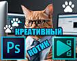 Работа с фотографиями в Photoshop, Монтаж видео и другое