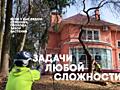 Спил деревьев любой сложности