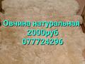 Цветной ковер из длинношерстной овчины с золотой звездой. 170/100см