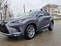 Lexus Nx Hybrid 4x4