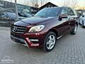 Mercedes Benz ML Class