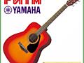 Акустическая гитара YAMAHA F310 (Cherry Sunburst) в м. м. "РИТМ"