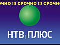 НТВ+Бесплатно. НТВ+Бесплатно. НТВ+Бесплатно. НТВ+Бесплатно. НТВ+Бесплатно.