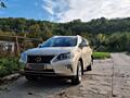 Lexus RX Series