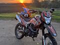 Geon X-ROAD 250