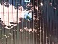 Дом с участком 5, 5 соток ЧУБАЕВКА