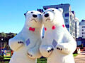 Белый медведь Кривой Рог поздравление мишки аниматора