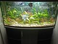 Аквариум 220л, без рыб.