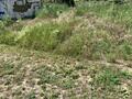 Продам участок в Лесках. На участок заведен свет, газ, вода по фасаду 