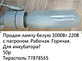 Продам лампу белую 1000Вт 220В с патроном