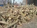 Дрова твердых пород