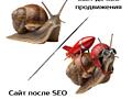 SEO продвижение для молодого сайта