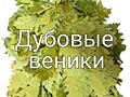 Продаются веники дубовые для бани (парилки).