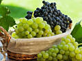 Продам виноград на вино самосбор